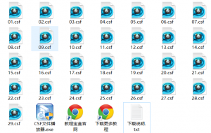 宁波电大VB编程与应用培训教程 