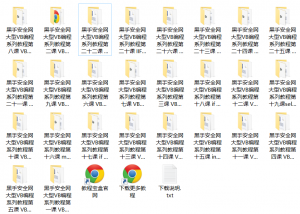 黑手安全网大型VB编程系列