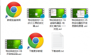VB梦工厂特征码定位器开发系列教程