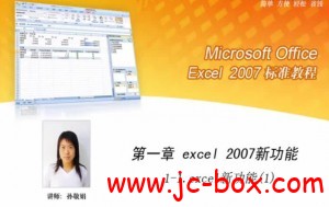 Excel 2007标准教程