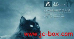 夜猫中学VIP培训班HOOK系列教程