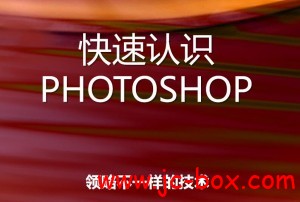 IT9网络学院PhotoShop CS4系列VIP教程