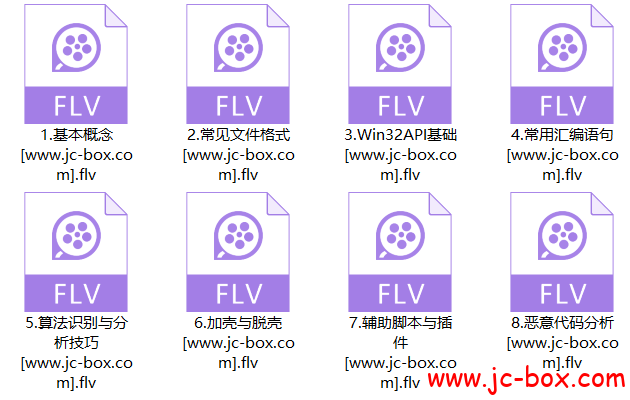 安天逆向工程在线班