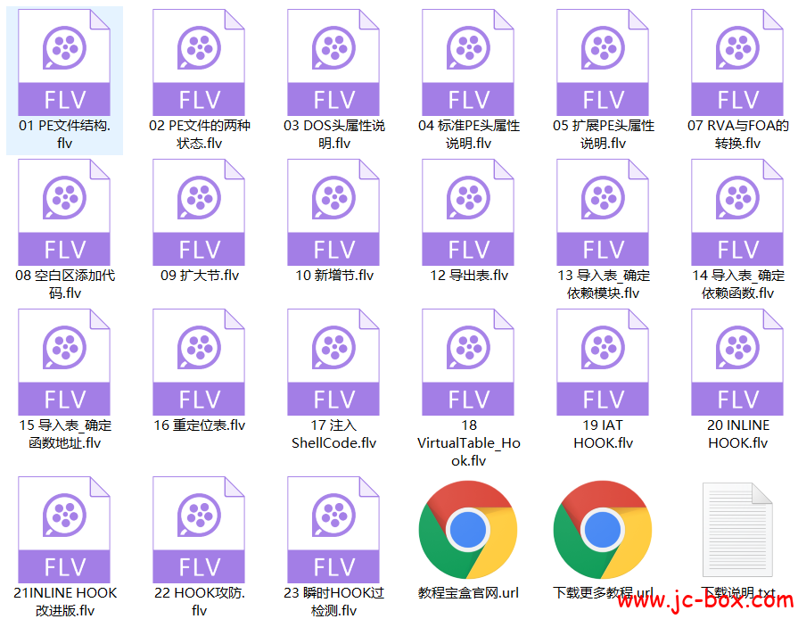 2020逆向零基础入门[第11部-PE]