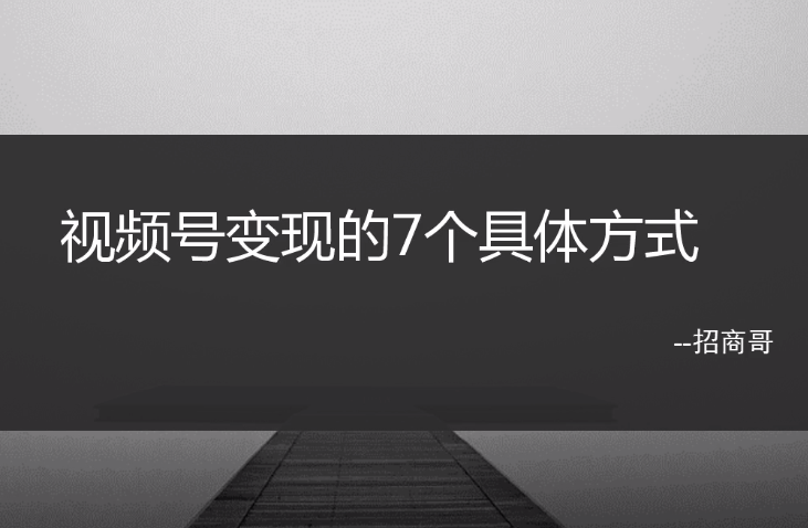 玩转微信视频号爆款涨粉赚钱全攻略，让你快速抓住流量风口，收获红利财富