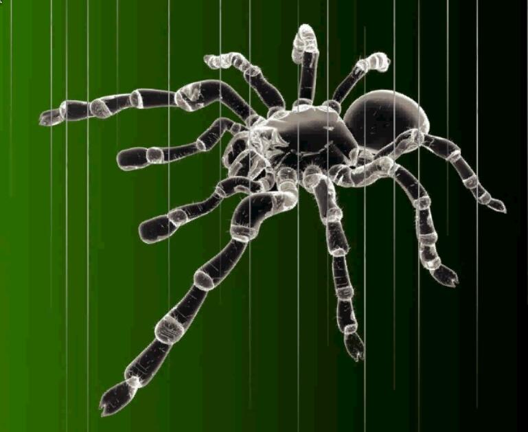 半斤八两初级逆向培训