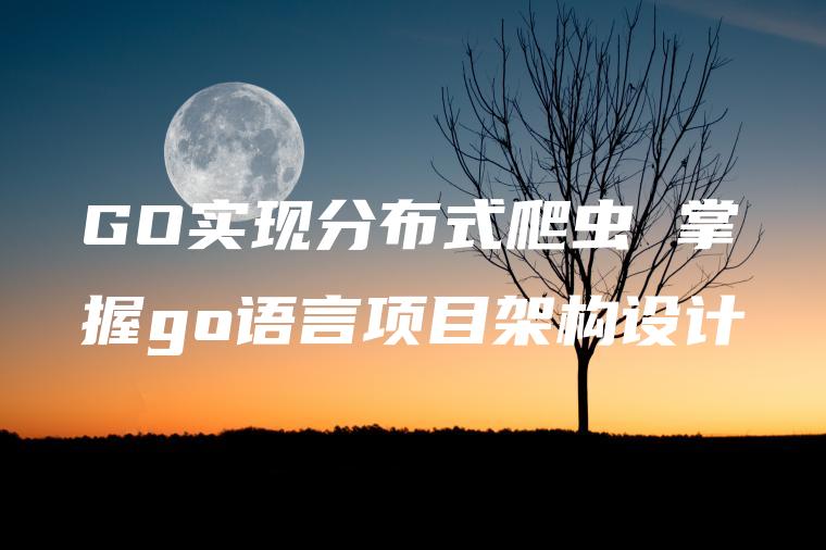 GO实现分布式爬虫 掌握go语言项目架构设计