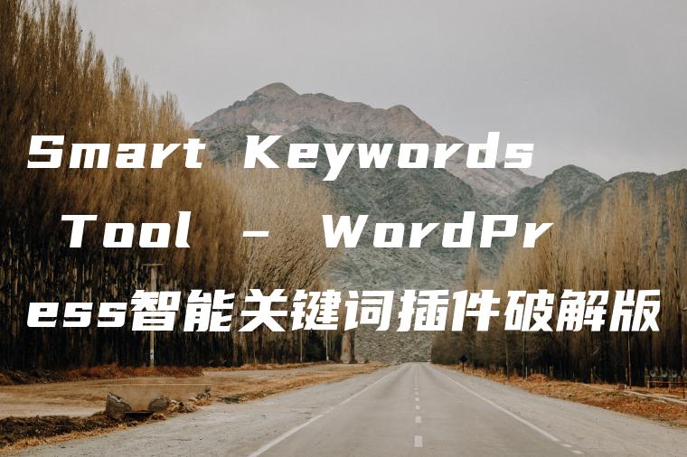 Smart Keywords Tool – WordPress智能关键词插件破解版
